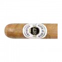 Ashton Magnum - 5 cigars