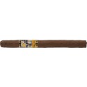 Cohiba Panetelas - 25 cigars