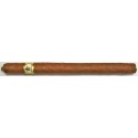 Trinidad Fundadores - 12 cigars