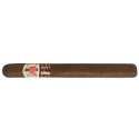 Hoyo de Monterrey Escogidos LCDH - 10 cigars