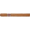 Vegas Robaina Clasicos - 25 cigars (5 by 5 packs)
