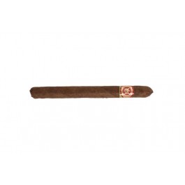 Arturo Fuente Fuente Rainforest Delight - cigar