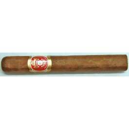Punch Churchills - 25 cigars