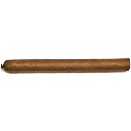 Hoyo Du Dauphin SLB - 25 cigars (RSE SEP 01) 