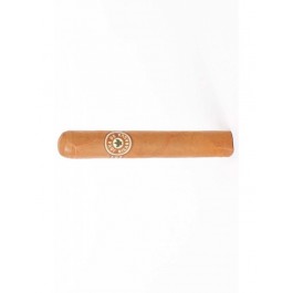 Joya de Nicaragua Clasico Robusto - cigar