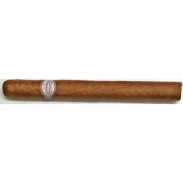 Rafael Gonzalez Panatelas Extra - 25 cigars