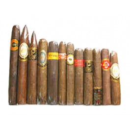 Perdomo Seleccion Sampler - 12 cigars