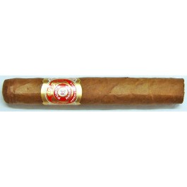 Punch Petit Punch - 25 cigars