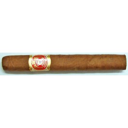 Punch Petit Coronas del Punch - 25 cigars