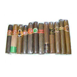 Handcrafted Robusto Sampler - 12 cigars