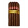 Partagas Serie Connaisseur No.1 - 25 cigars