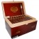 Casa Magna Gigantor - Opened Box