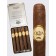 Oliva Serie G Cigarillos - 5 cigars opened tin