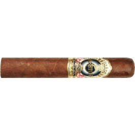 Ashton ESG 21 Year Salute Robusto - cigar