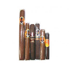 Rocky Patel Cigar Sampler - 10 cigars