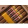 La Gloria Cubana 25th Aniversario Humidor LCDH - Close-up