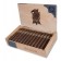 Drew Estate Undercrown Maduro Belicoso - 25 cigars open box