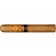 Perdomo Reserve 10th Anniversary Champagne Epicure - 5 cigars