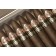 Ramon Allones No.2 Limited Edition 2019 - Opened Box Close-up