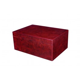 The Seguro Burl Humidor - 50 cigars