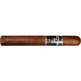 Joya de Nicaragua Black Toro - cigar