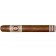 Perdomo Habano Corojo Presidente - 20 cigars