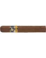 Cohiba Siglo VI - cigar