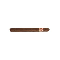 Arturo Fuente Fuente Rainforest Delight - cigar