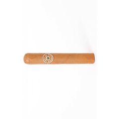Joya de Nicaragua Clasico Robusto - cigar